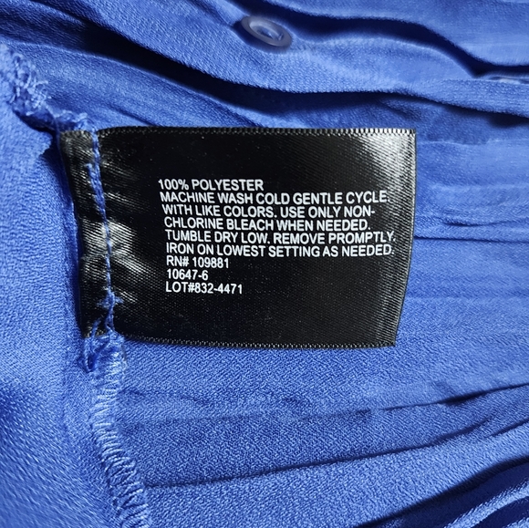 Sheer Ruffled Blouse - Picture 7 of 7